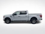 2021 Ford F-150 XLT 4WD SuperCrew 5.5' Box