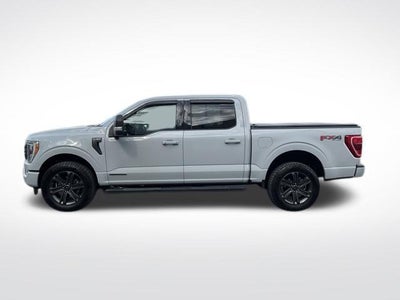 2023 Ford F-150 XLT 4WD SuperCrew 5.5' Box