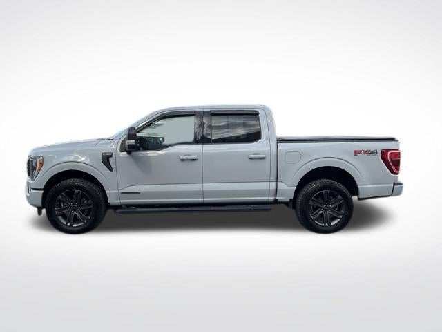 2023 Ford F-150 XLT 4WD SuperCrew 5.5' Box