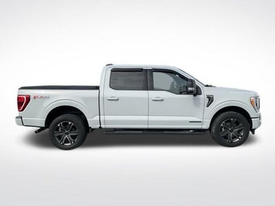 2023 Ford F-150 XLT 4WD SuperCrew 5.5' Box