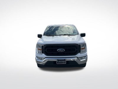 2021 Ford F-150 XL 2WD Reg Cab 6.5' Box