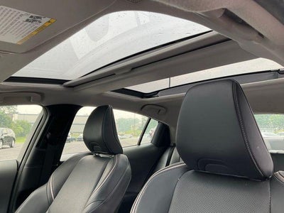 2023 Toyota Prius XLE (Natl)
