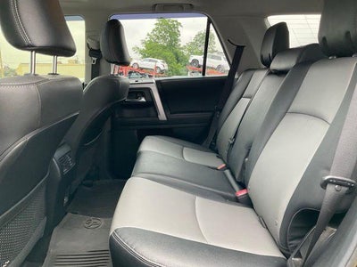 2024 Toyota 4Runner SR5 Premium 4WD (Natl)